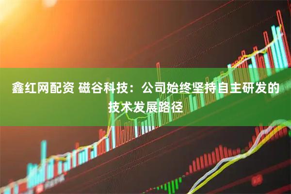 鑫红网配资 磁谷科技：公司始终坚持自主研发的技术发展路径
