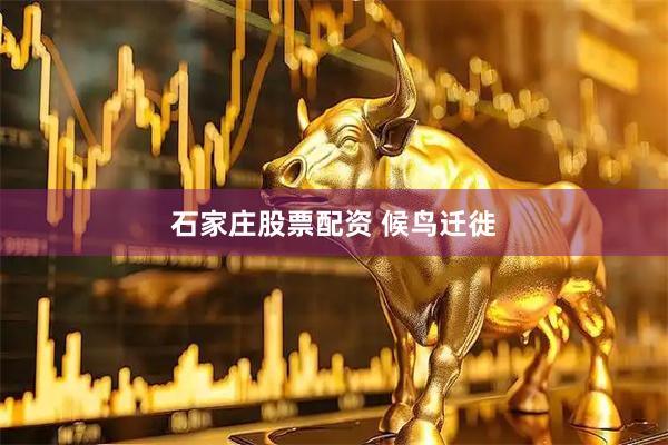 石家庄股票配资 候鸟迁徙