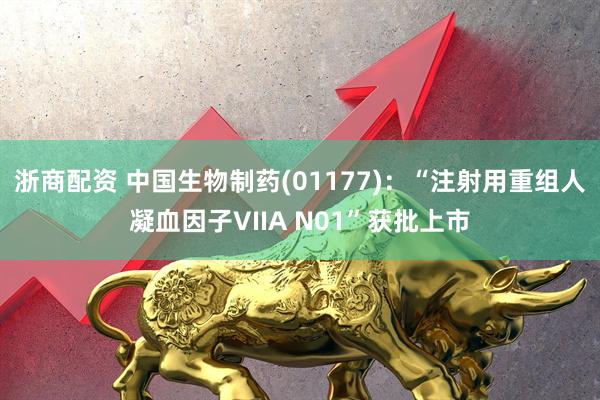 浙商配资 中国生物制药(01177)：“注射用重组人凝血因子VIIA N01”获批上市