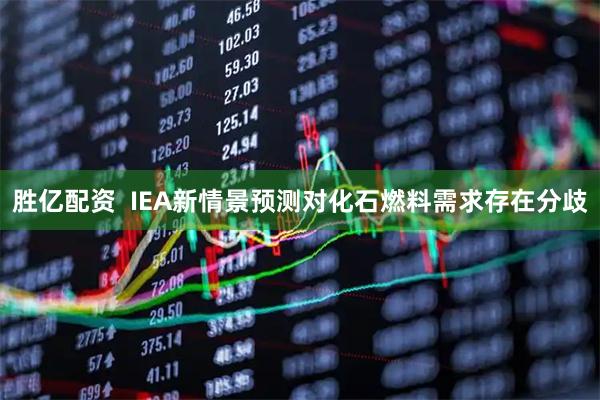 胜亿配资  IEA新情景预测对化石燃料需求存在分歧